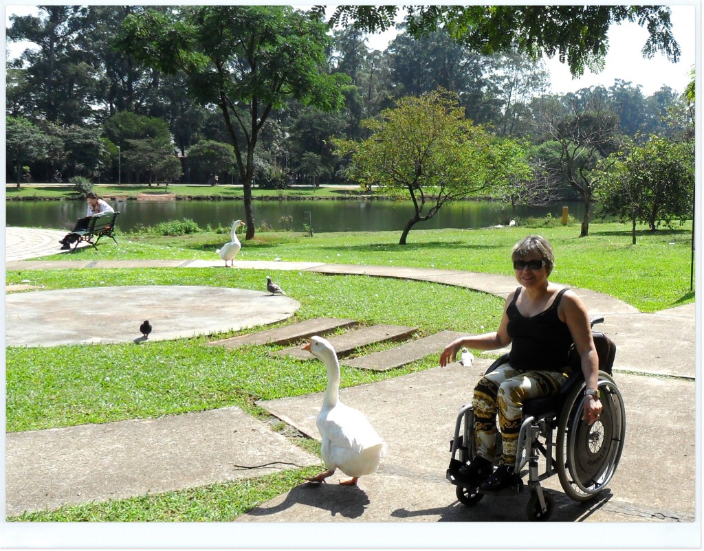 Passeando pelo Parque Ibirapuera, veja quem eu encontro? Um ganso, que não queria mais me deixar...