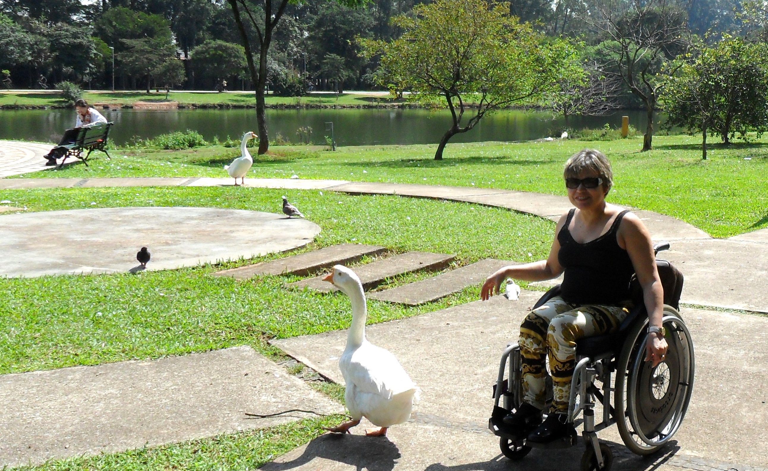 Parque Ibirapuera para cadeirantes