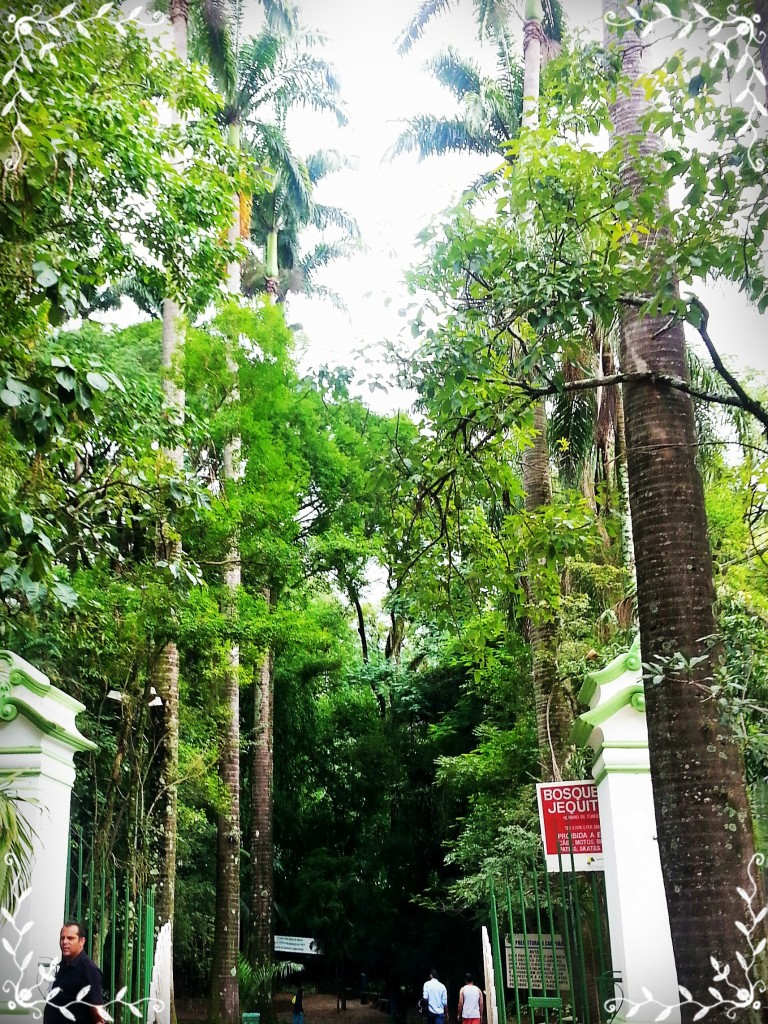 Esta é a entrada do Bosque, com seu corredor de árvores.