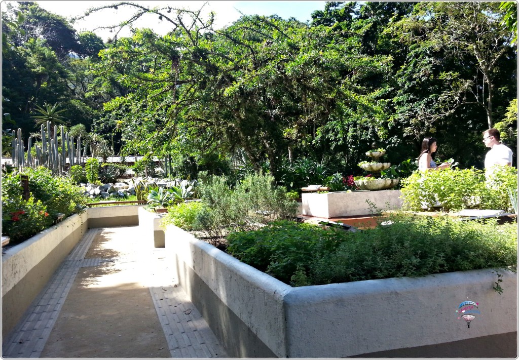 Jardim Sensorial